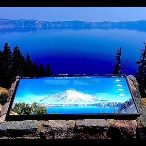 Meet your Posher, TJ